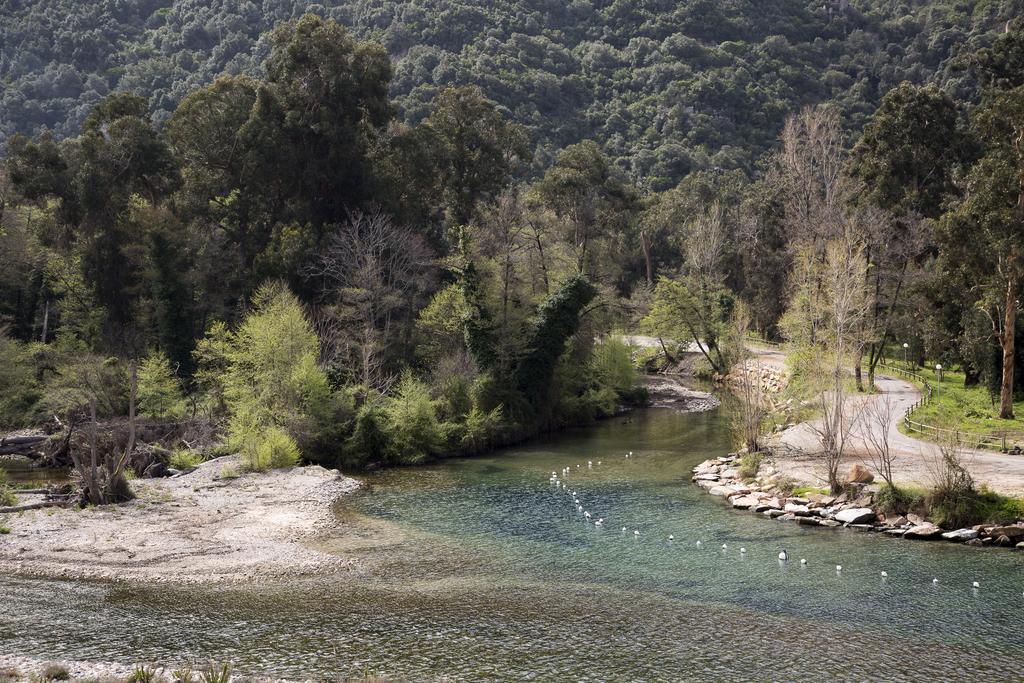 Apartment Hoteliere Capu Seninu Porto (Corsica)